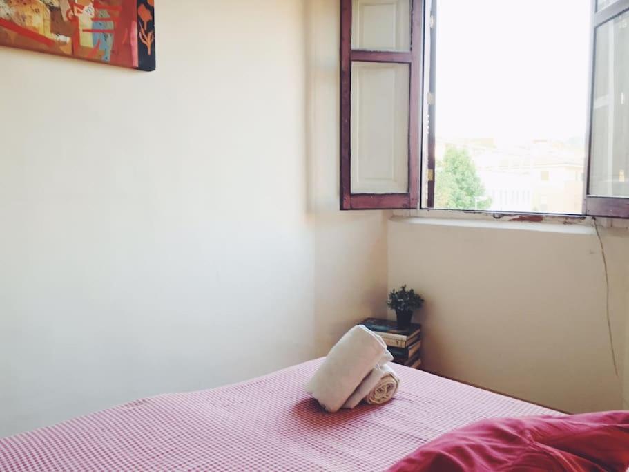 Habitaciones Corazon Centro Historico 马拉加 外观 照片
